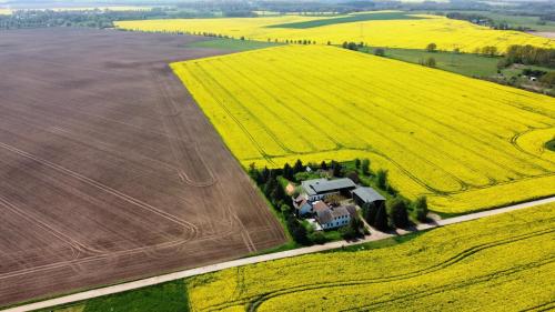 Ein Bett im Kornfeld - Haus Weitblick - mit Innenpool