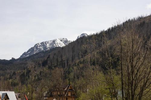 Dolina Resort Zakopane - image 3