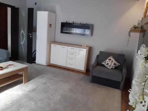 Apartament Róża 1 Sauna & Jacuzzi Jaszczurówka 21a, Zakopane (fotografie 2)