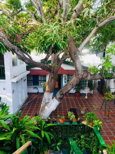 Tita’s Airport Hotel in Marbella