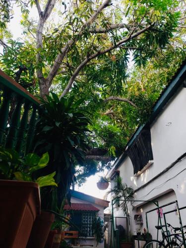 Tita’s Airport Hotel in Marbella