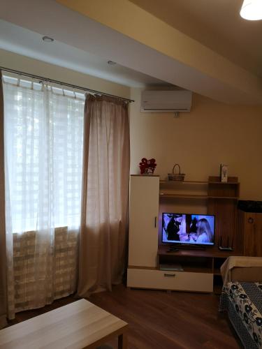 Lukomorye apartments - image 4