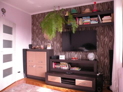 Apartment with Sea View image 10