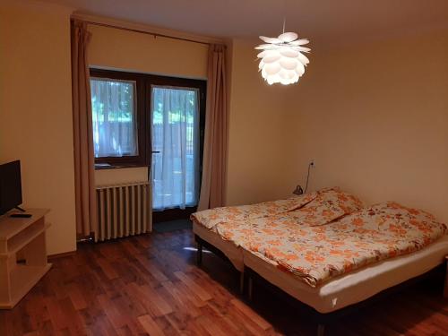2 twin beds, 2 sofa beds