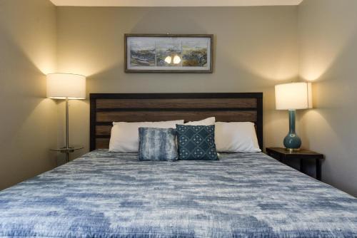Windy City DUO- TWO CONDO's - Large Groups - No stairs - POOL open!! - image 7