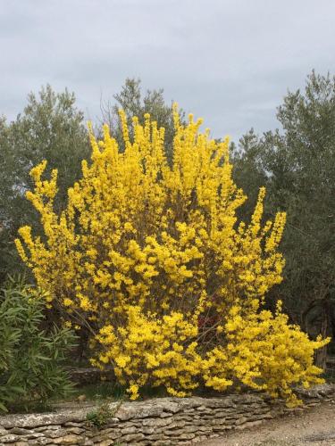 Le Verger – Gordes, UT