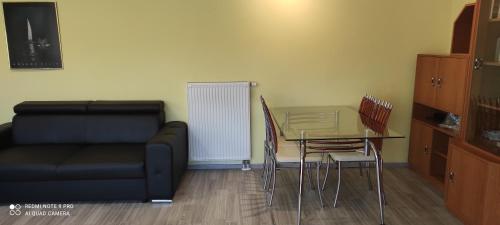 One-Bedroom Apartment image 10