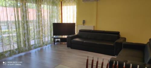 One-Bedroom Apartment image 8