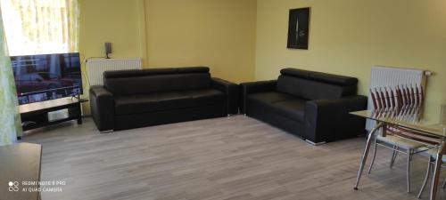 One-Bedroom Apartment image 6
