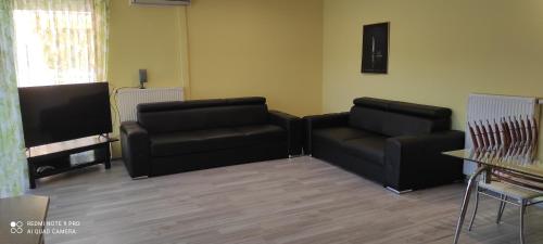 One-Bedroom Apartment image 5