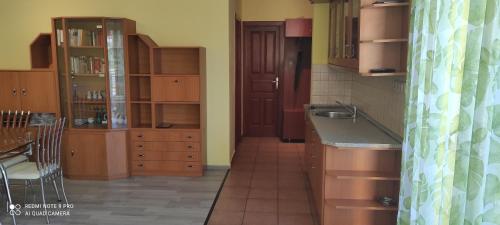 One-Bedroom Apartment image 4