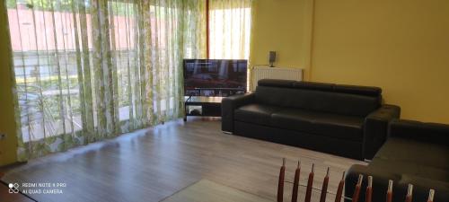 One-Bedroom Apartment image 3