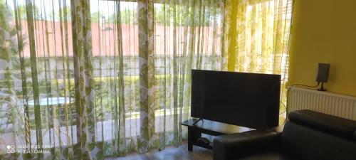 One-Bedroom Apartment image 2