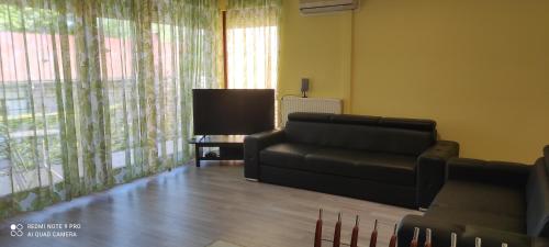 One-Bedroom Apartment image 1