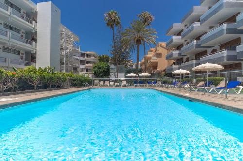 Alsol Mariachis - image 12