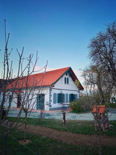 Landhaus Schaller im Südburgenland