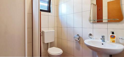 Apartment with Garden View room in Apartments and rooms Marija