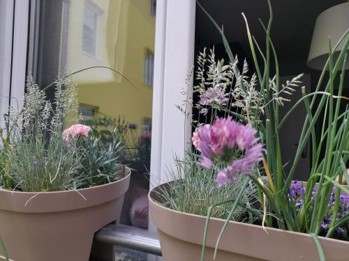 Nest Apartment Zemun - image 2