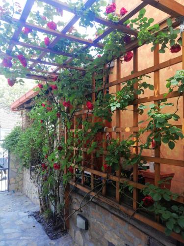 Nest Apartment Zemun - main image