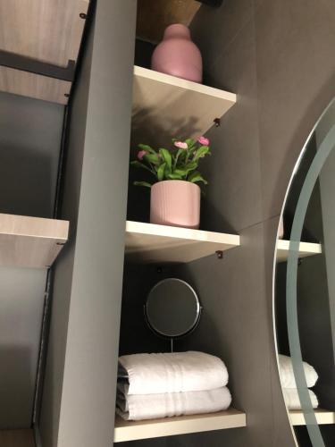 One-Bedroom Apartment image 3