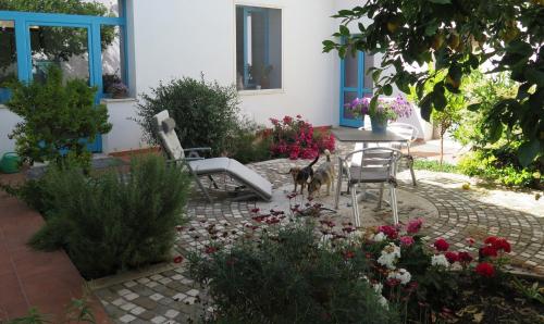 B&b-Le Rondini 2