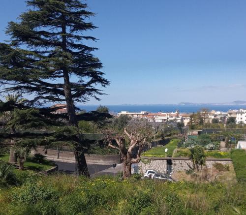 Il Platano – Piano di Sorrento, CO