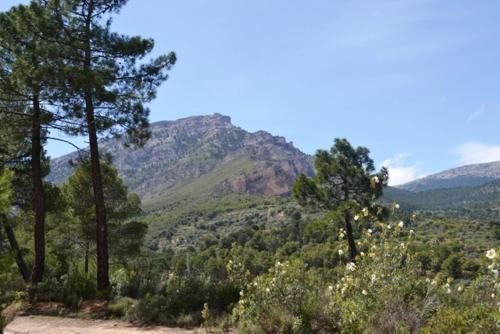 Casas Rurales La Tejeruela