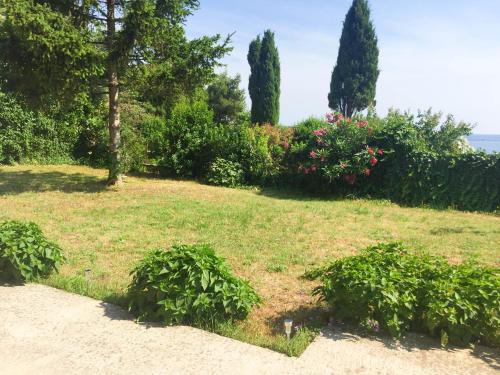 Elysium, Pola (Pula) (foto 8)