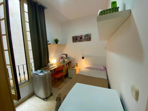 Barcelona Housing Student - image 3