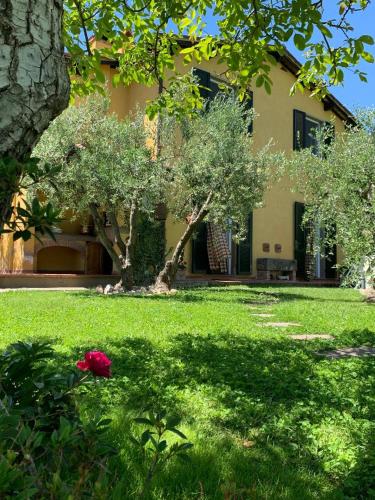 B&B Lucca - B&B I Ligustri - Bed and Breakfast Lucca