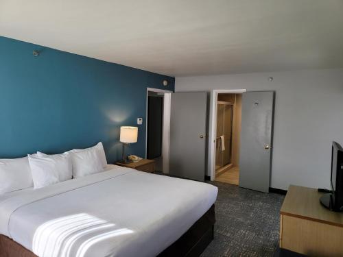 Comfort Inn & Suites Alexandria West