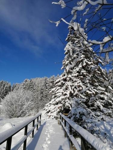 A környék, Ferienwohnung Familie Pichler in St. Marein bei Neumarkt