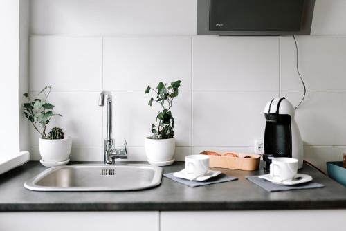 厨房, Lake Aluksne studio apartment in 古本那
