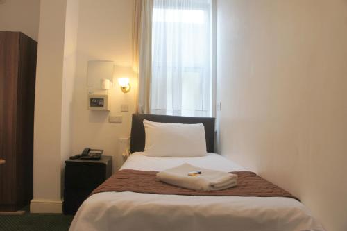 Plaza London Hotel - image 9