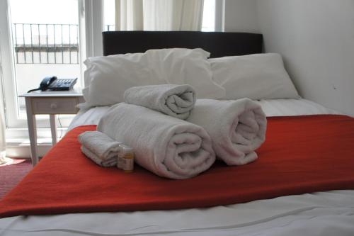 Plaza London Hotel - image 13