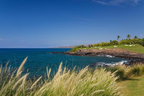 Waiulaula Ridge F201 - image 14