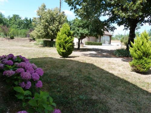 Gîte Thiviers, 4 pièces, 5 personnes - FR-1-616-133