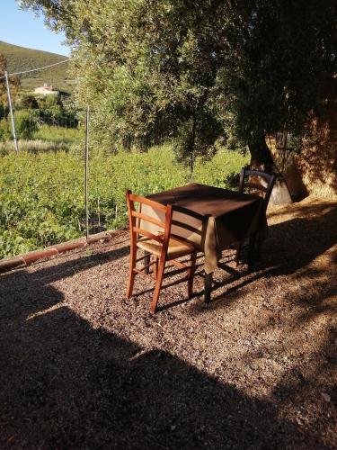 Monolocale Pisturri in Magomadas