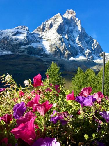 Appartamenti Coin Au Paradis Breuil Cervinia