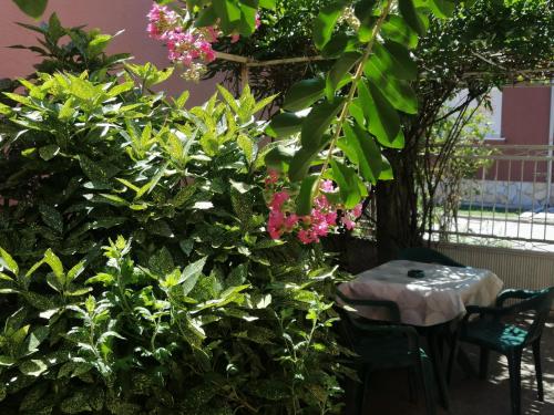 Apartman Nana Jagodina