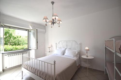 Domus Olea 3