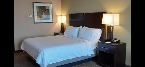 Holiday Inn Express & Suites Pecos, an IHG Hotel