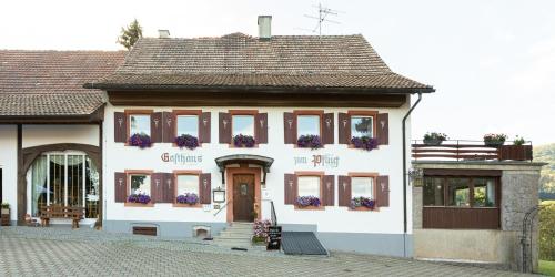 Hotel Landgasthof zum Pflug - Steinen