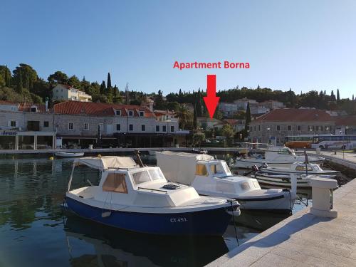 Apartment Borna - image 7