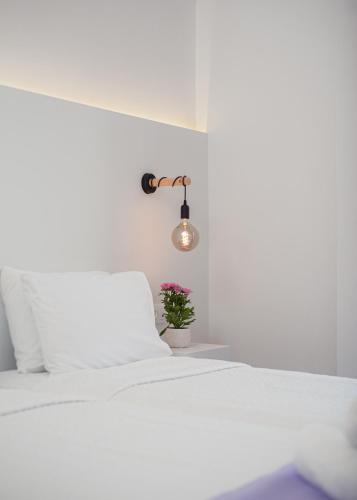 Venus Minimal Hotel - image 10