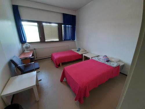 Minimotel - image 14
