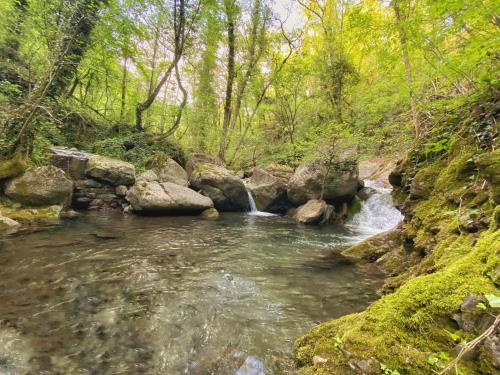  La casa con giardino, vicino al ruscello segreto, Pension in Borzonasca bei Selva