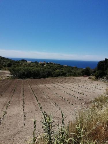 Monolocale Pisturri in Magomadas