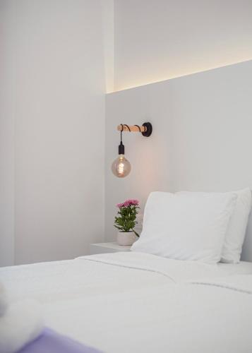 Venus Minimal Hotel - image 2