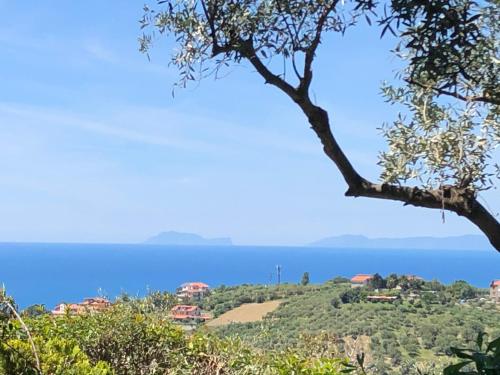 Dolce Basilico – Agropoli, UT